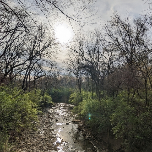 Happy 2025l! Thanks for supporting our small business!🌻🌈🥰💐🍄🎁🛍️💌 - Picture 11 of 17